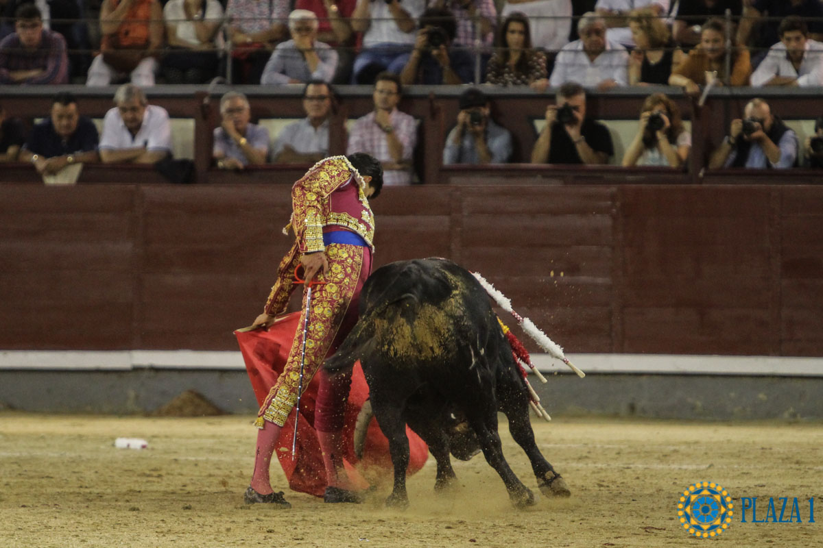 Madrid - Novillada picada - Sábado 29 de septiembre de 2018