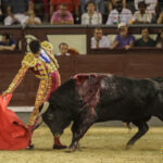 Madrid - Novillada picada - Sábado 29 de septiembre de 2018