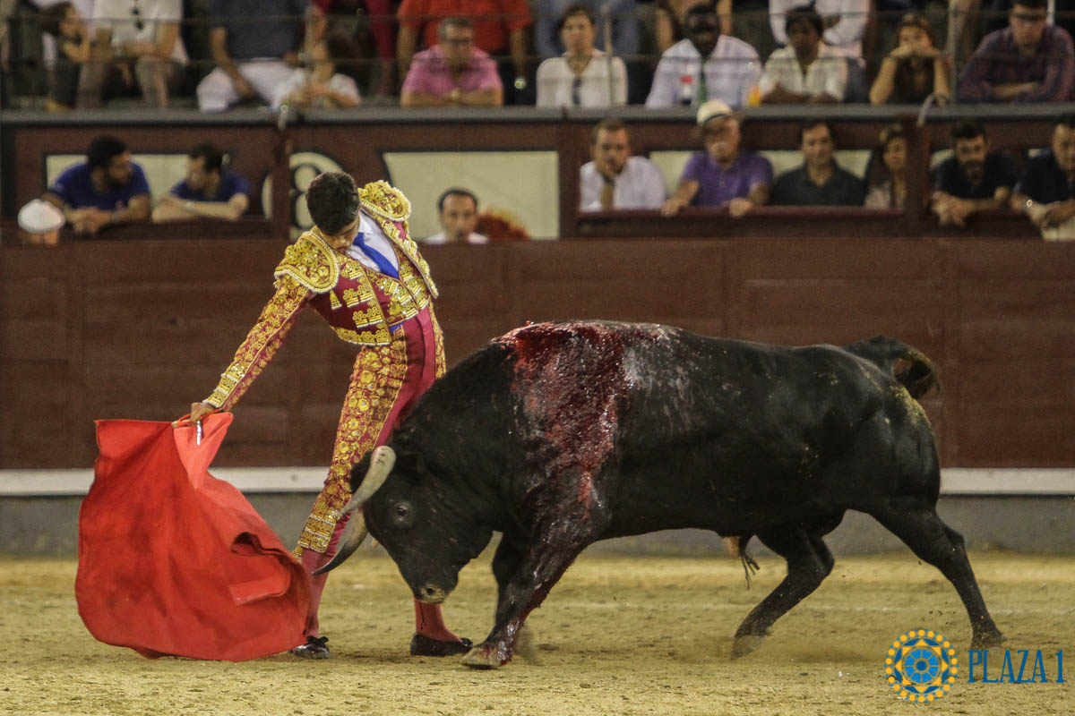 Madrid - Novillada picada - Sábado 29 de septiembre de 2018