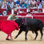Albacete - Corrida de toros - Sábado 8 de septiembre de 2018