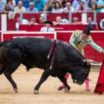 Albacete - Corrida de toros - Sábado 8 de septiembre de 2018