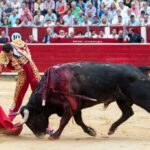 Albacete - Corrida de toros - Sábado 8 de septiembre de 2018