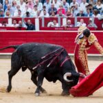 Albacete - Corrida de toros - Sábado 8 de septiembre de 2018