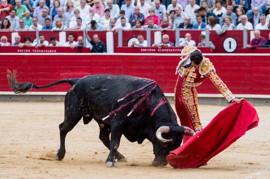 Albacete - Corrida de toros - Sábado 8 de septiembre de 2018