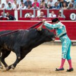 Albacete - Corrida de toros - Sábado 8 de septiembre de 2018