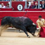 Albacete - Corrida de toros - Sábado 8 de septiembre de 2018