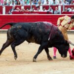 Albacete - Corrida de toros - Sábado 8 de septiembre de 2018