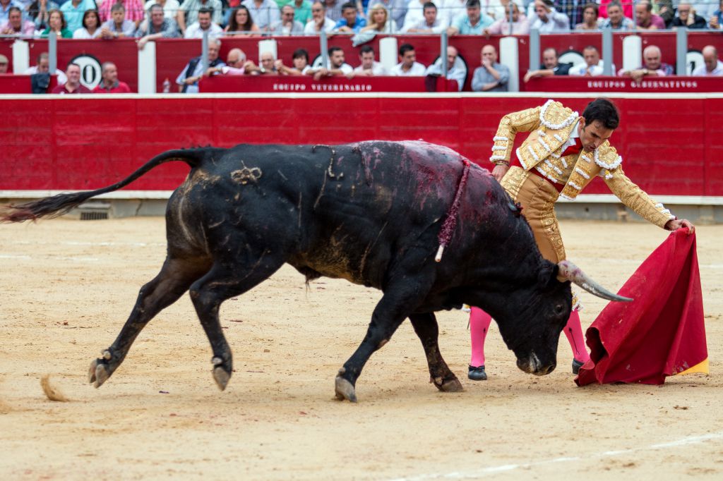 Albacete - Corrida de toros - Sábado 8 de septiembre de 2018