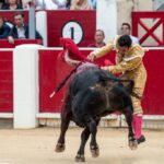 Albacete - Corrida de toros - Sábado 8 de septiembre de 2018