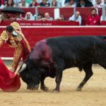 Albacete - Corrida de toros - Sábado 8 de septiembre de 2018