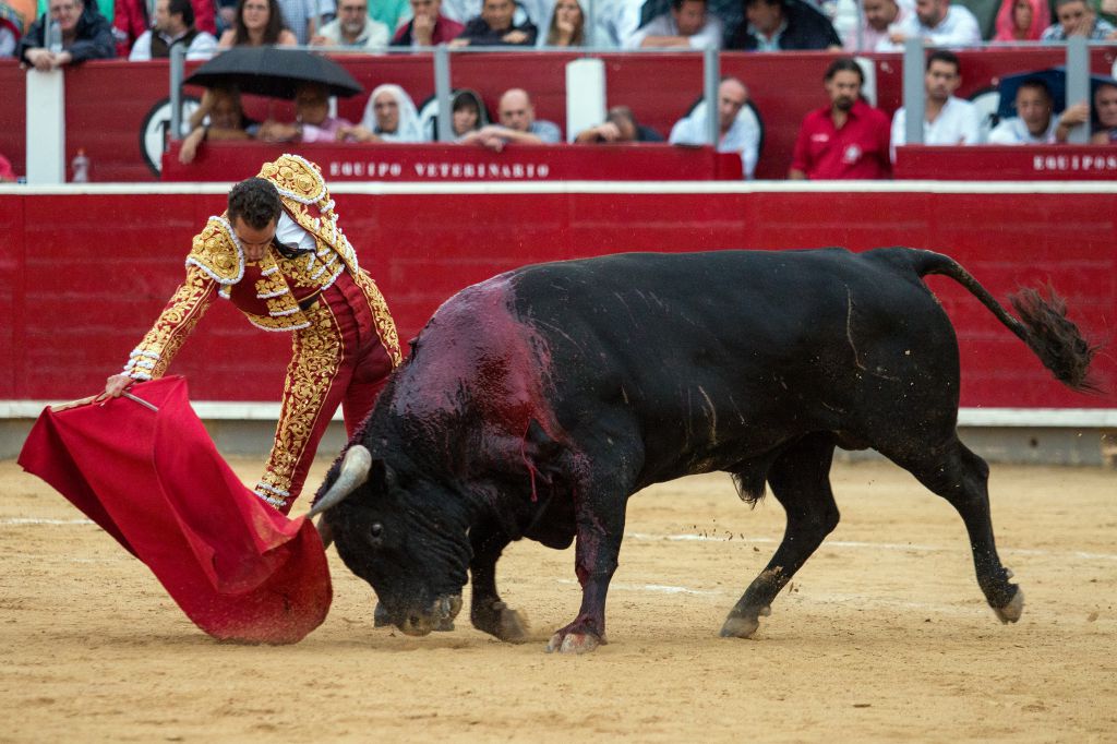 Albacete - Corrida de toros - Sábado 8 de septiembre de 2018