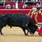 Albacete - Corrida de toros - Sábado 8 de septiembre de 2018