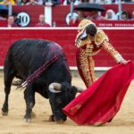 Albacete - Corrida de toros - Sábado 8 de septiembre de 2018