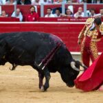 Albacete - Corrida de toros - Sábado 8 de septiembre de 2018