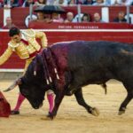 Albacete - Corrida de toros - Sábado 8 de septiembre de 2018
