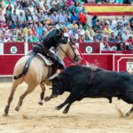 Albacete - Corrida de rejones - Domingo 9 de septiembre de 2018