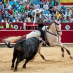 Albacete - Corrida de rejones - Domingo 9 de septiembre de 2018