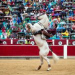 Albacete - Corrida de rejones - Domingo 9 de septiembre de 2018