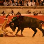 Nimes, 16 de septiembre de 2018. Tarde