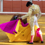 Pozoblanco - Corrida de toros - Sábado 29 de septiembre de 2018