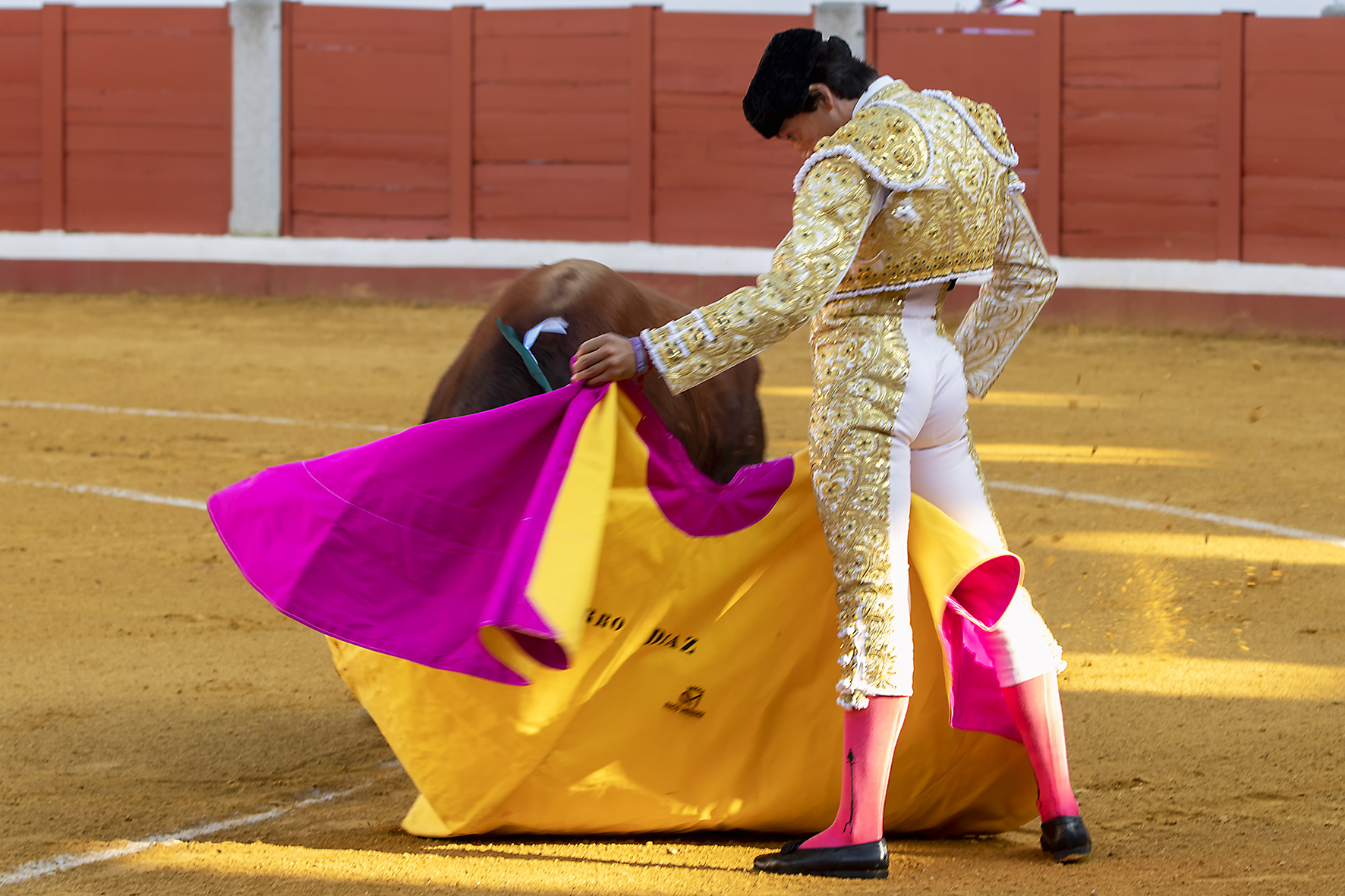 Pozoblanco - Corrida de toros - Sábado 29 de septiembre de 2018