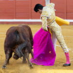 Pozoblanco - Corrida de toros - Sábado 29 de septiembre de 2018