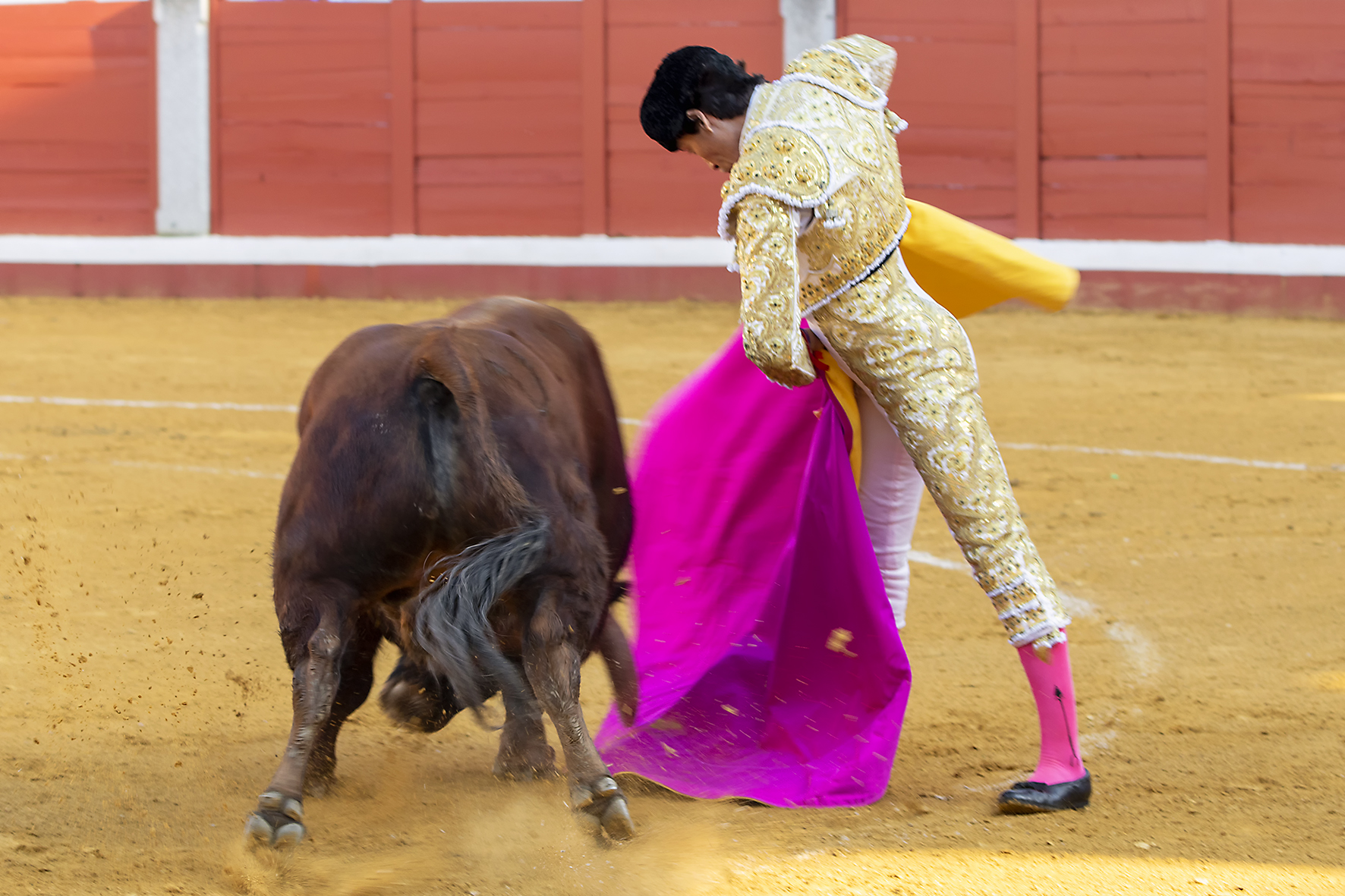 Pozoblanco - Corrida de toros - Sábado 29 de septiembre de 2018
