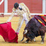 Pozoblanco - Corrida de toros - Sábado 29 de septiembre de 2018