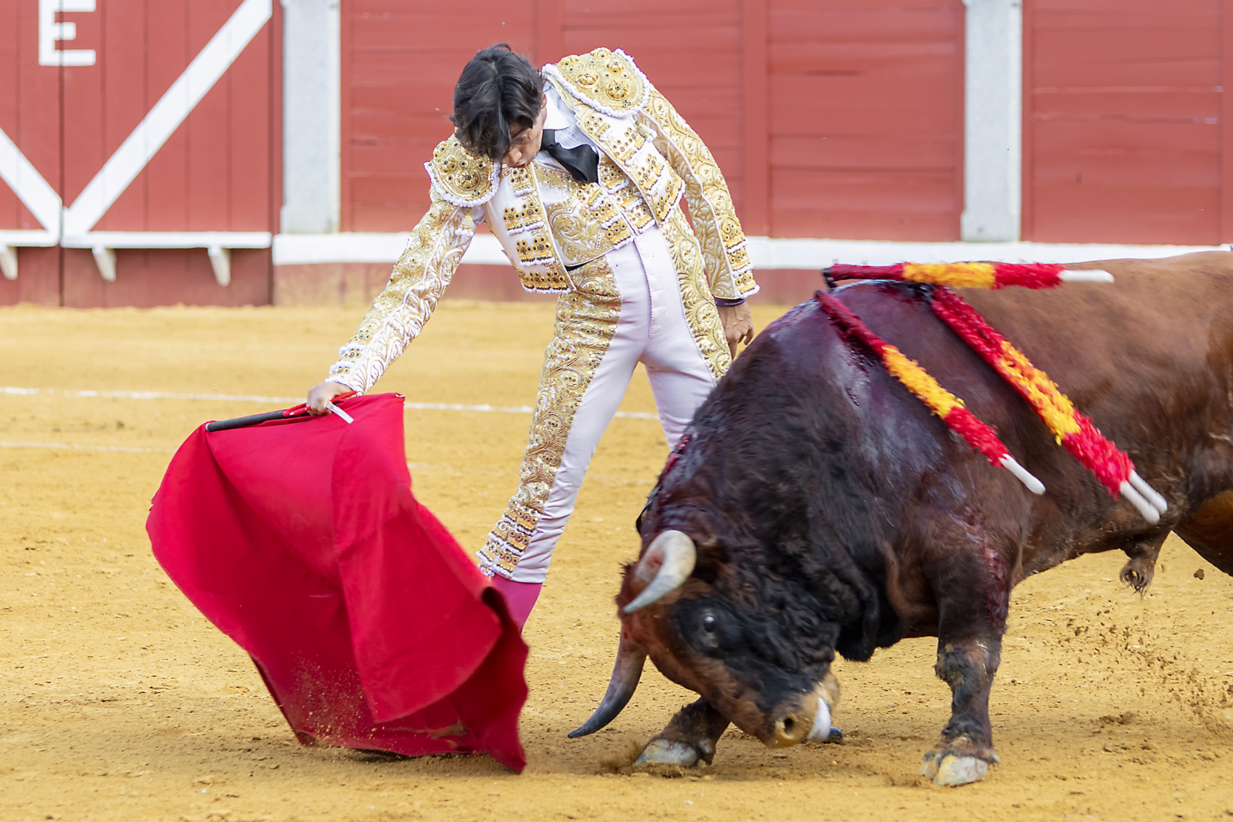 Pozoblanco - Corrida de toros - Sábado 29 de septiembre de 2018