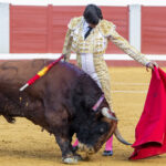 Pozoblanco - Corrida de toros - Sábado 29 de septiembre de 2018