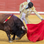 Pozoblanco - Corrida de toros - Sábado 29 de septiembre de 2018
