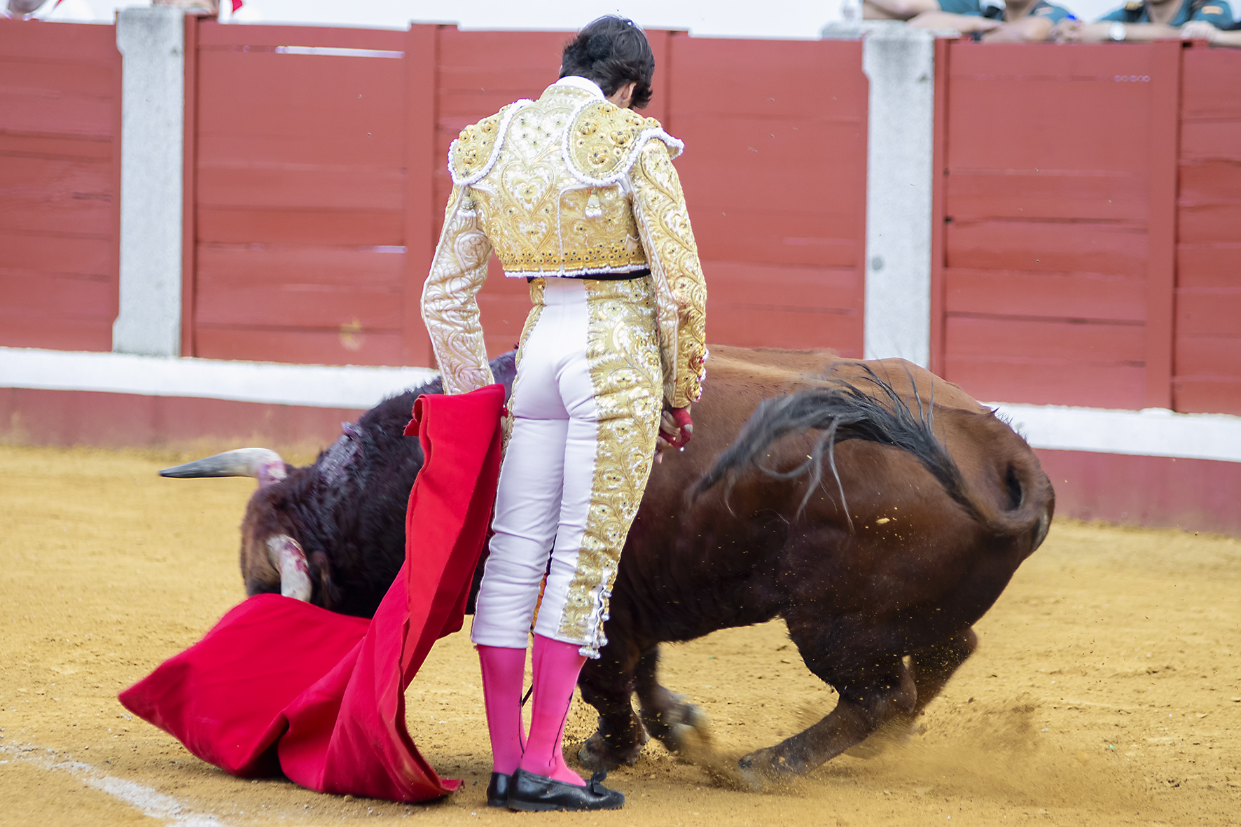 Pozoblanco - Corrida de toros - Sábado 29 de septiembre de 2018