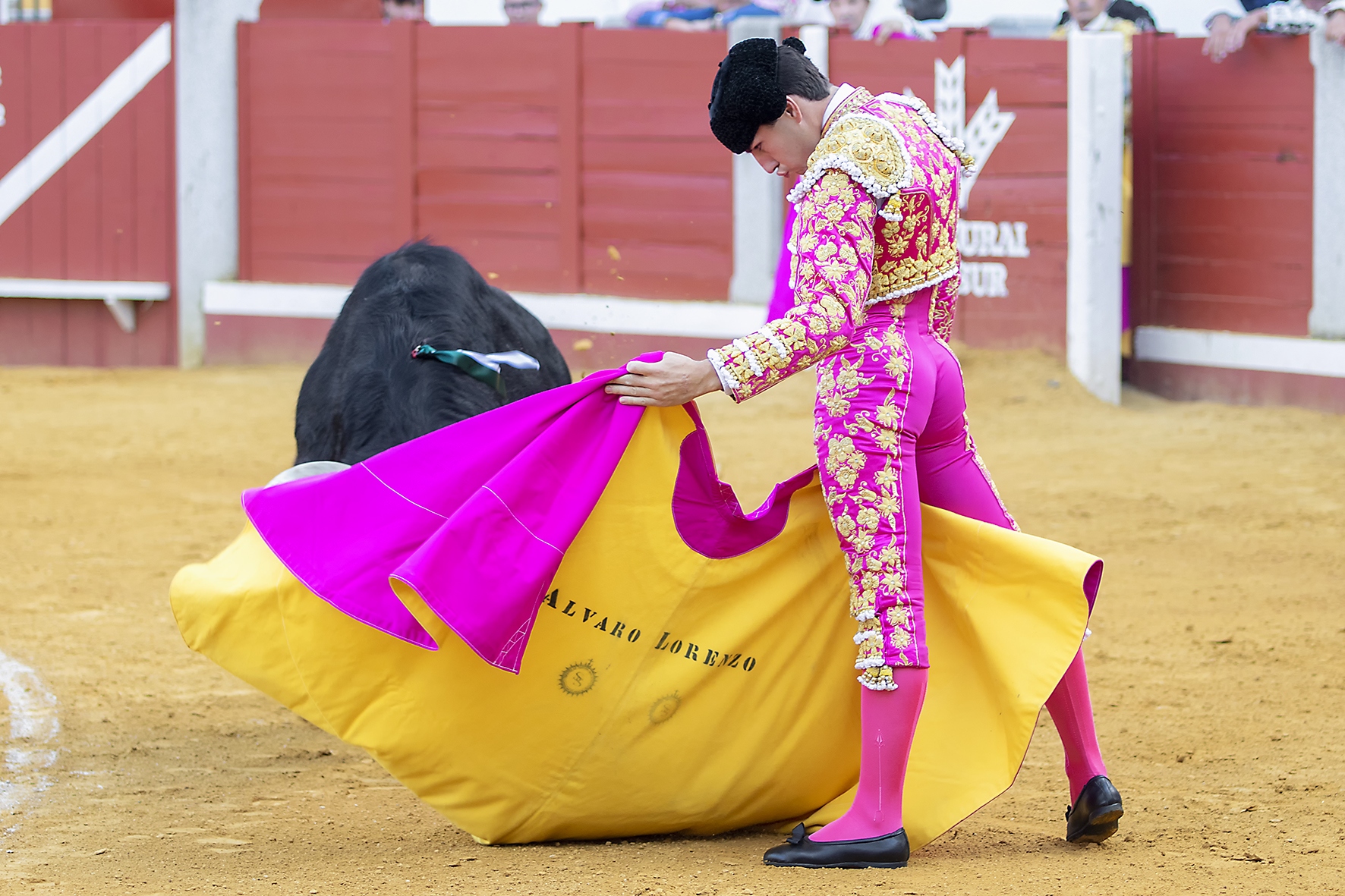 Pozoblanco - Corrida de toros - Sábado 29 de septiembre de 2018