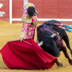 Pozoblanco - Corrida de toros - Sábado 29 de septiembre de 2018