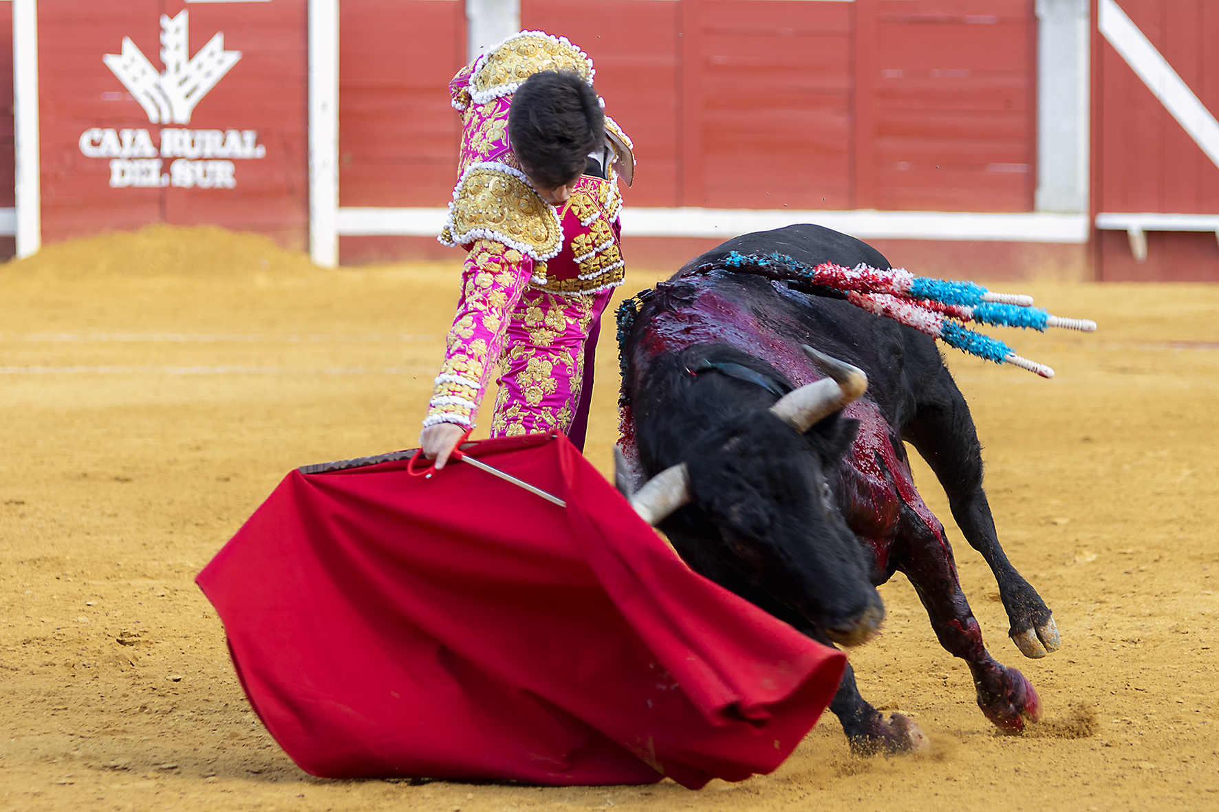 Pozoblanco - Corrida de toros - Sábado 29 de septiembre de 2018