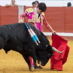 Pozoblanco - Corrida de toros - Sábado 29 de septiembre de 2018