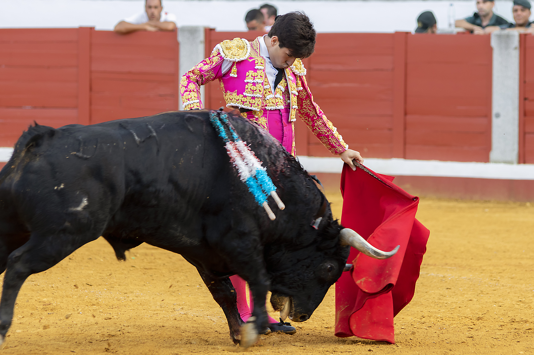 Pozoblanco - Corrida de toros - Sábado 29 de septiembre de 2018