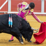 Pozoblanco - Corrida de toros - Sábado 29 de septiembre de 2018