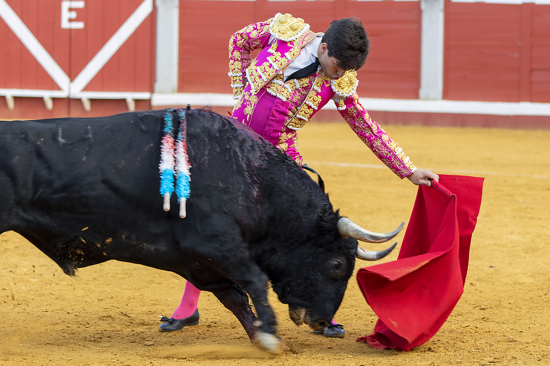 Pozoblanco - Corrida de toros - Sábado 29 de septiembre de 2018