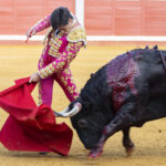 Pozoblanco - Corrida de toros - Sábado 29 de septiembre de 2018