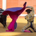 Pozoblanco - Corrida de toros - Sábado 29 de septiembre de 2018