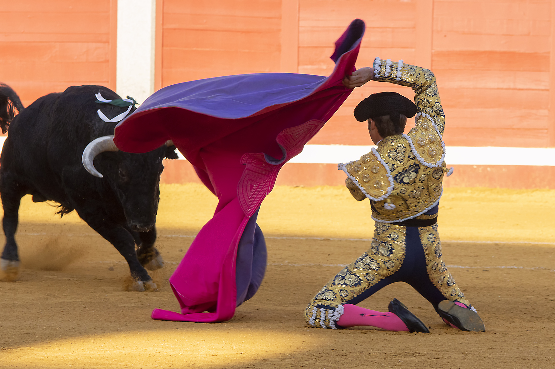 Pozoblanco - Corrida de toros - Sábado 29 de septiembre de 2018
