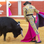 Pozoblanco - Corrida de toros - Sábado 29 de septiembre de 2018