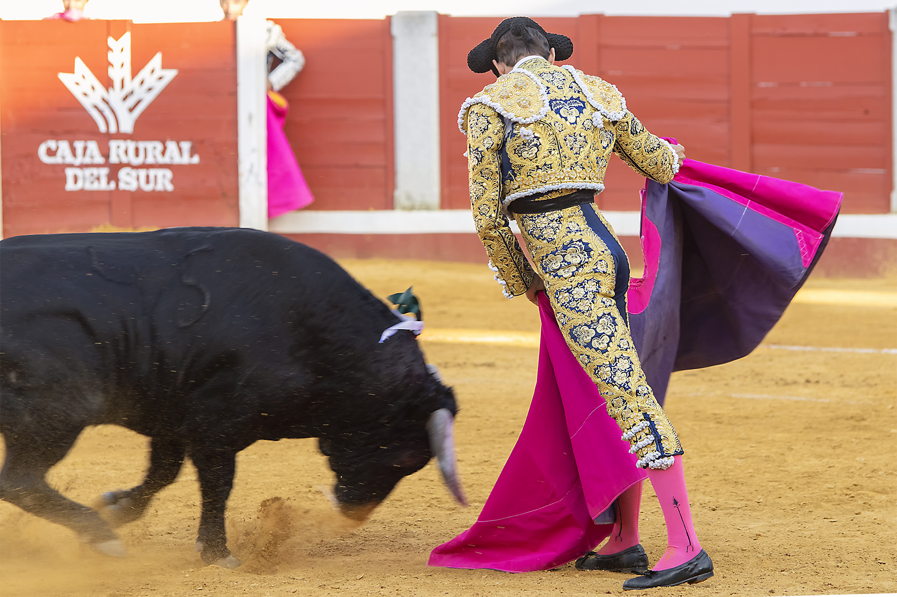 Pozoblanco - Corrida de toros - Sábado 29 de septiembre de 2018