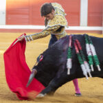 Pozoblanco - Corrida de toros - Sábado 29 de septiembre de 2018