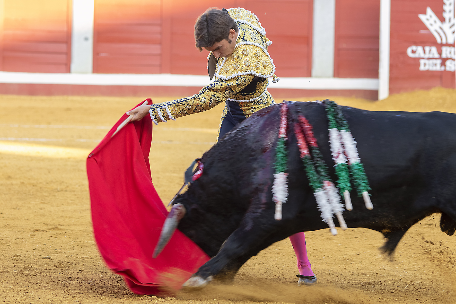 Pozoblanco - Corrida de toros - Sábado 29 de septiembre de 2018