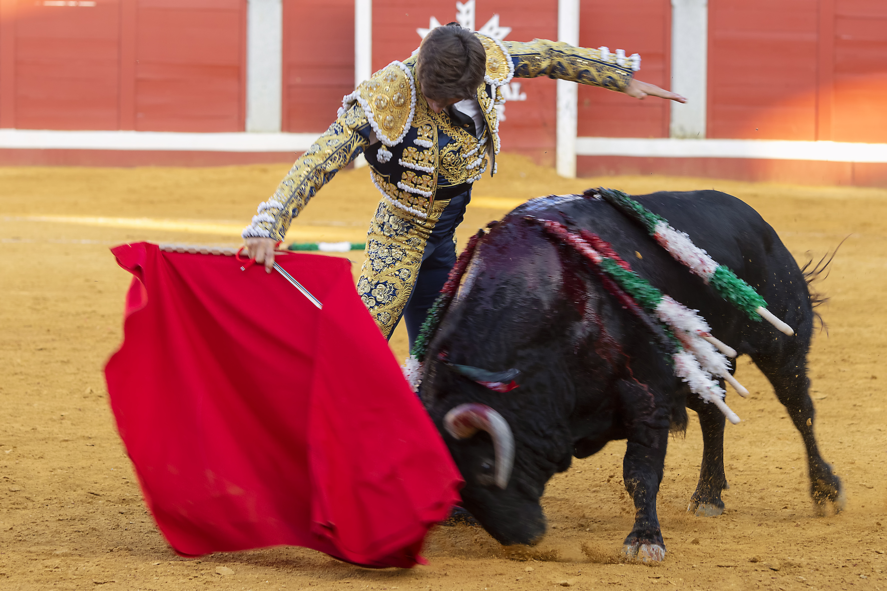 Pozoblanco - Corrida de toros - Sábado 29 de septiembre de 2018
