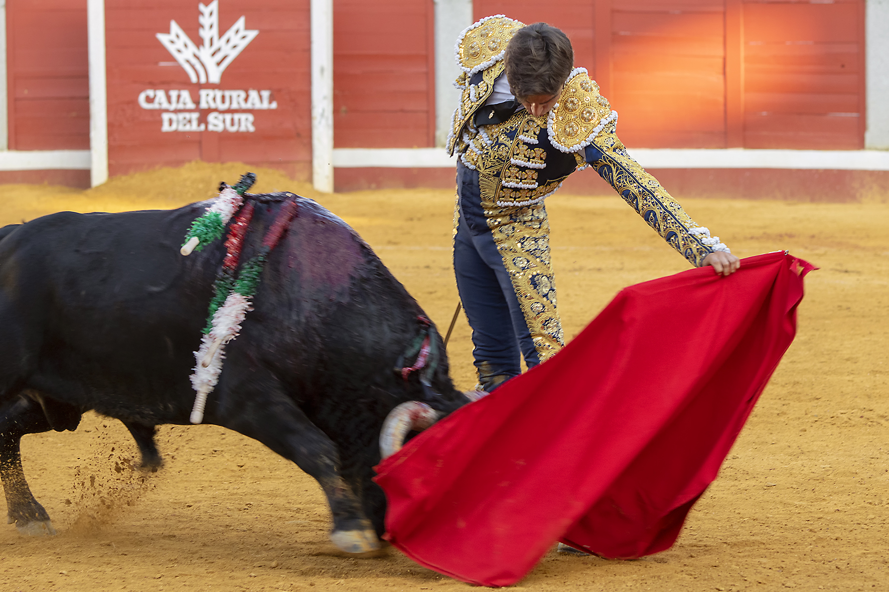 Pozoblanco - Corrida de toros - Sábado 29 de septiembre de 2018