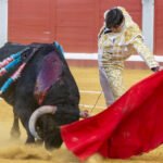 Pozoblanco - Corrida de toros - Sábado 29 de septiembre de 2018