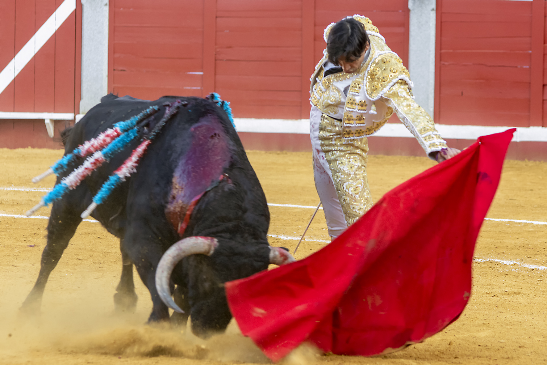 Pozoblanco - Corrida de toros - Sábado 29 de septiembre de 2018